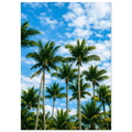 fff9aea1-38e3-4ac8-ac6b-87533c321f13